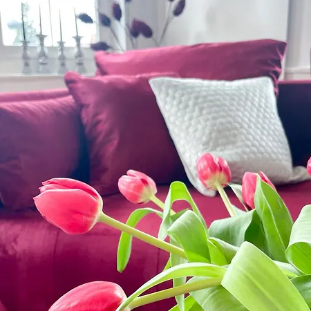 Velvet Ein Haus Mit Geschichte Im Herzen Tettnangs Messe Friedrichshafen Apartment Tettnang