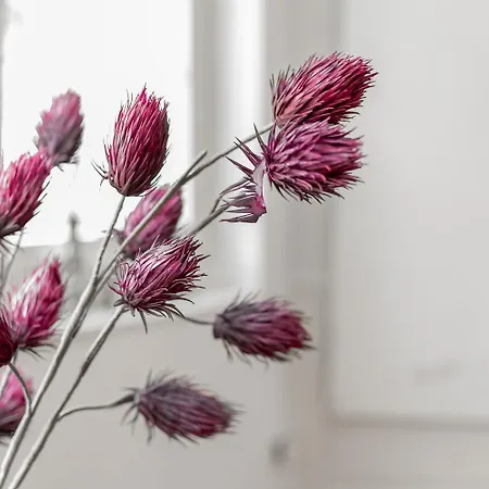 Velvet Ein Haus Mit Geschichte Im Herzen Tettnangs Messe Friedrichshafen *
