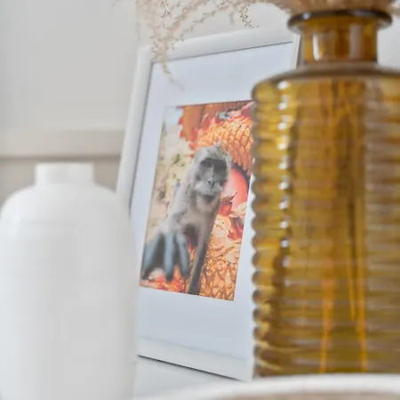 Velvet Ein Haus Mit Geschichte Im Herzen Tettnangs Messe Friedrichshafen * Tettnang